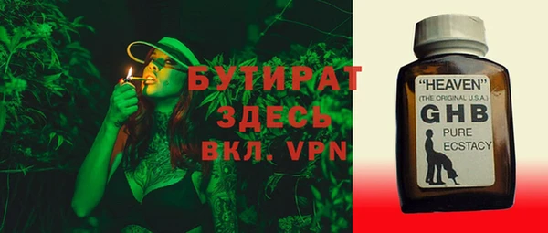 сатива Чегем