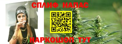 спиды Аргун
