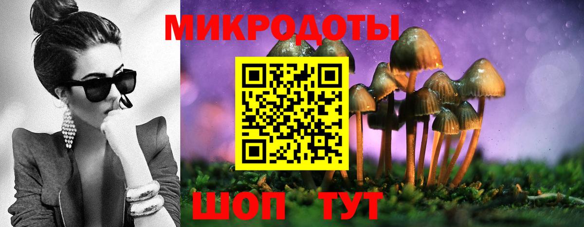 Псилоцибиновые грибы мухоморы  Боровичи 
