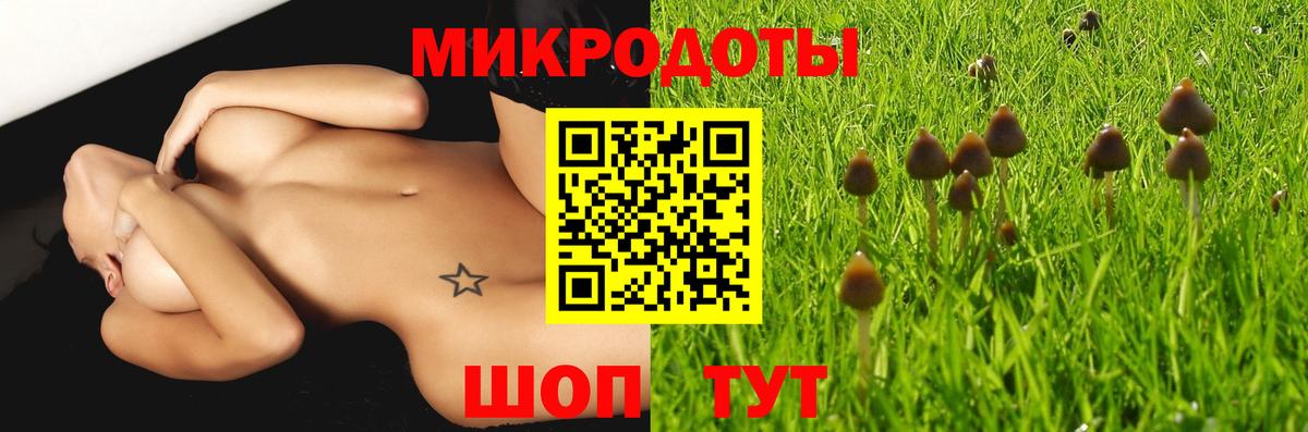 Боровичи  Псилоцибиновые грибы MAGIC MUSHROOMS  Вход с VPN 